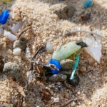 Már a Dunában is vannak mikroműanyagok?