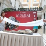 A Világ Múmiái Kiállítás – A világ legnagyobb múmiagyűjteménye érkezik Magyarországra