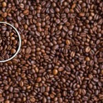 Mélyponton a kávé ára, sokan felhagynak a termesztéssel