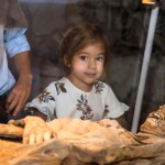 Fókuszban az oktatás A Világ Múmiái Kiállításon